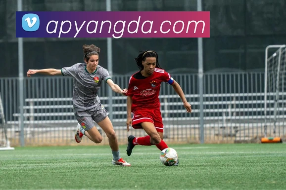 华体会APP 封面图